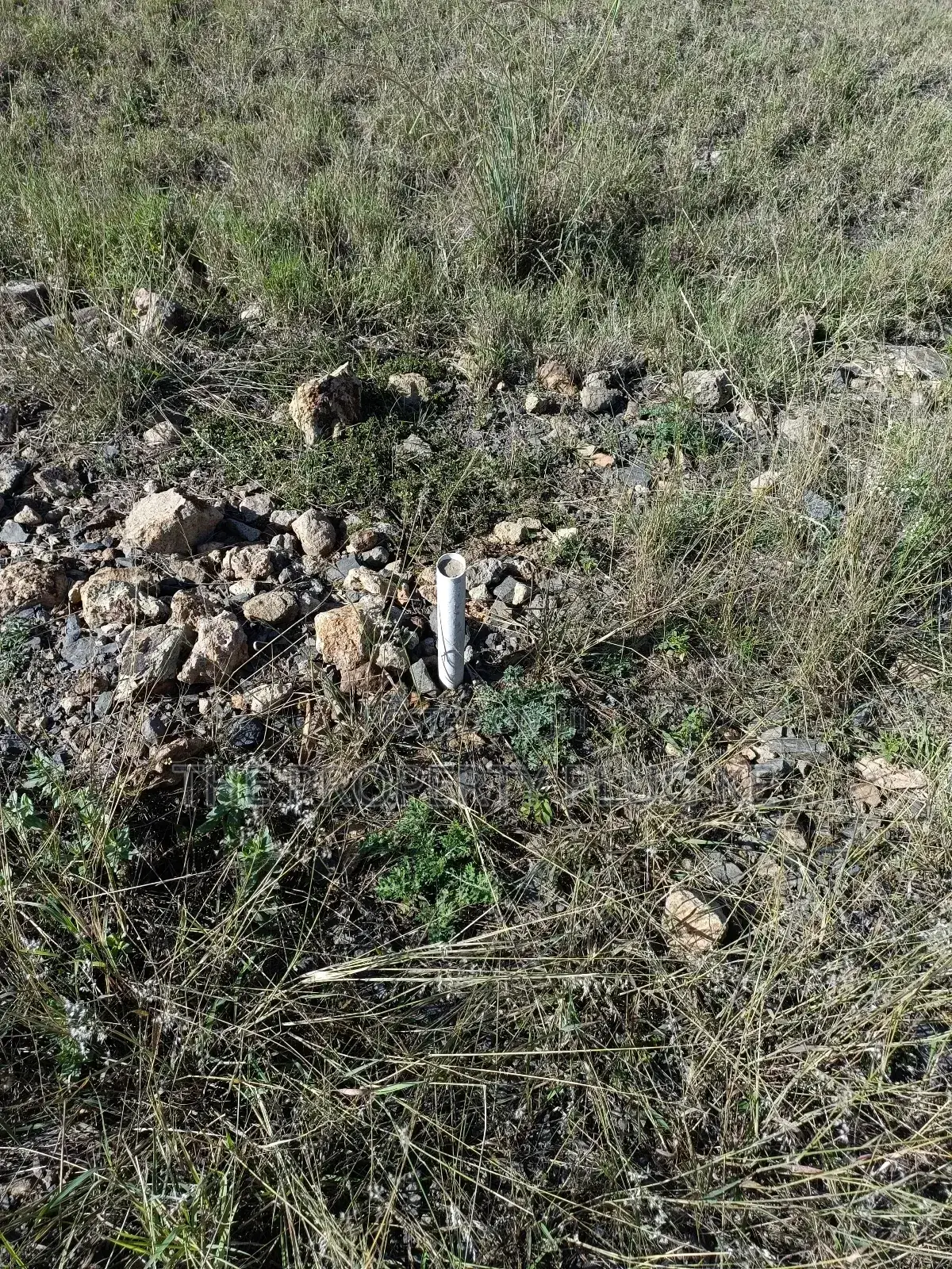 50 by 100 Plot for Sale in Katani