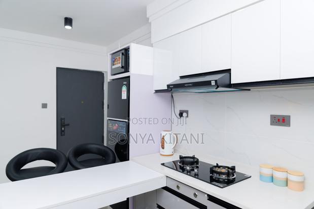 Furnished 1bdrm Apartment in Hurlingham for rent - main view