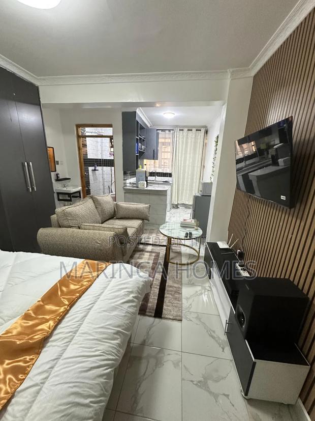 Furnished Studio Apartment in Ruaka - main view