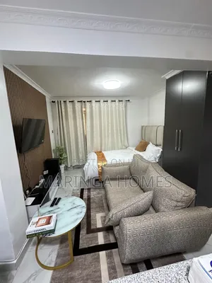 Furnished Studio Apartment in Ruaka