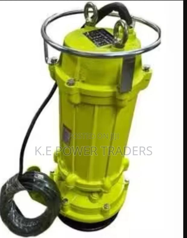 Premier Mining Pump