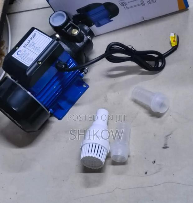 Solar Compatible 12v/24v Dc Surface Pump