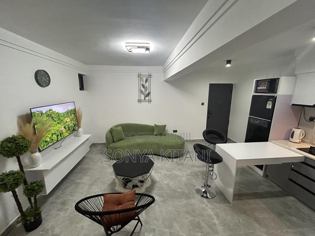 Furnished 1bdrm Apartment in Hurlingham for rent - thumbnail 12