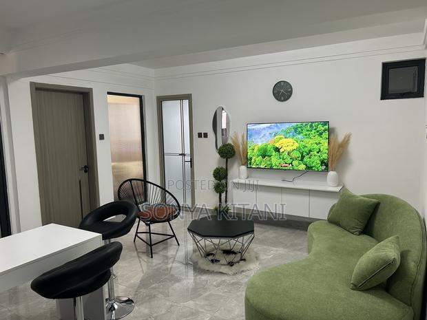 Furnished 1bdrm Apartment in Hurlingham for rent - thumbnail 14