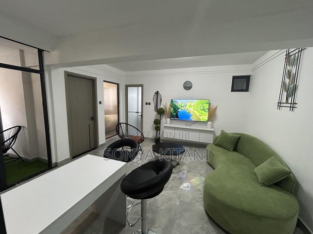 Furnished 1bdrm Apartment in Hurlingham for rent - thumbnail 13