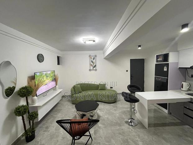 Furnished 1bdrm Apartment in Hurlingham for rent - thumbnail 9