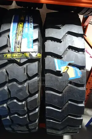 12.00r20 Roadlux. Tires R301