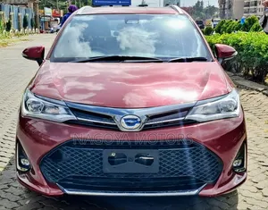 Toyota Corolla Fielder 2018 Red