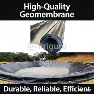 High Quality Geomembrane