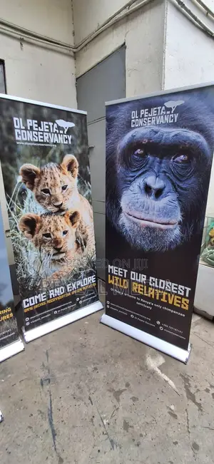 Premium Quality Broadbase Rollup Banners