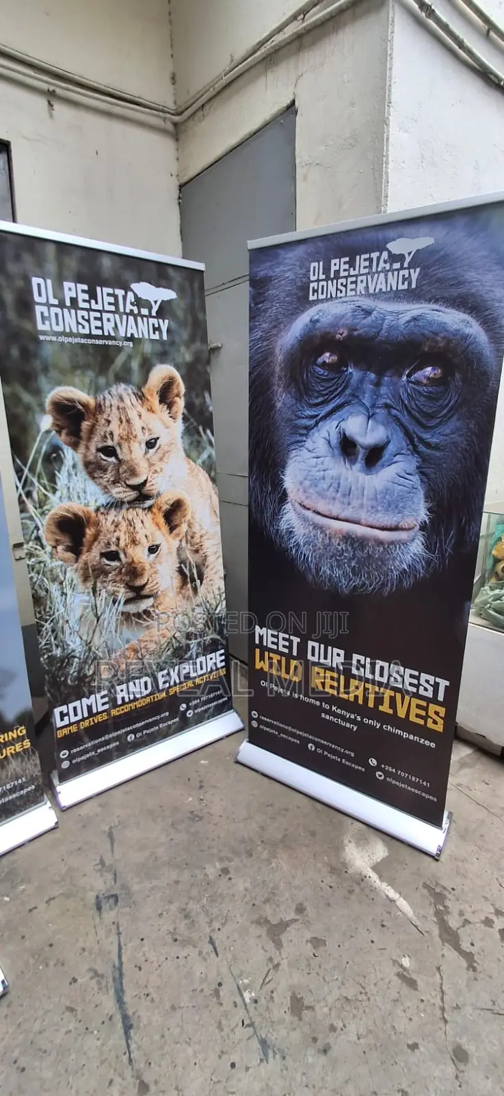 Premium Quality Broadbase Rollup Banners