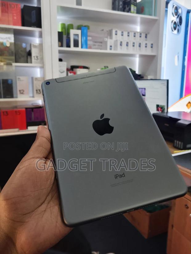 Apple iPad mini 5 256 GB Gray