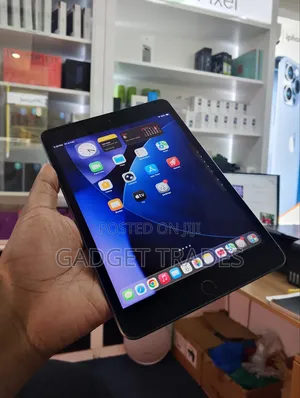 Apple iPad mini 5 256 GB Gray
