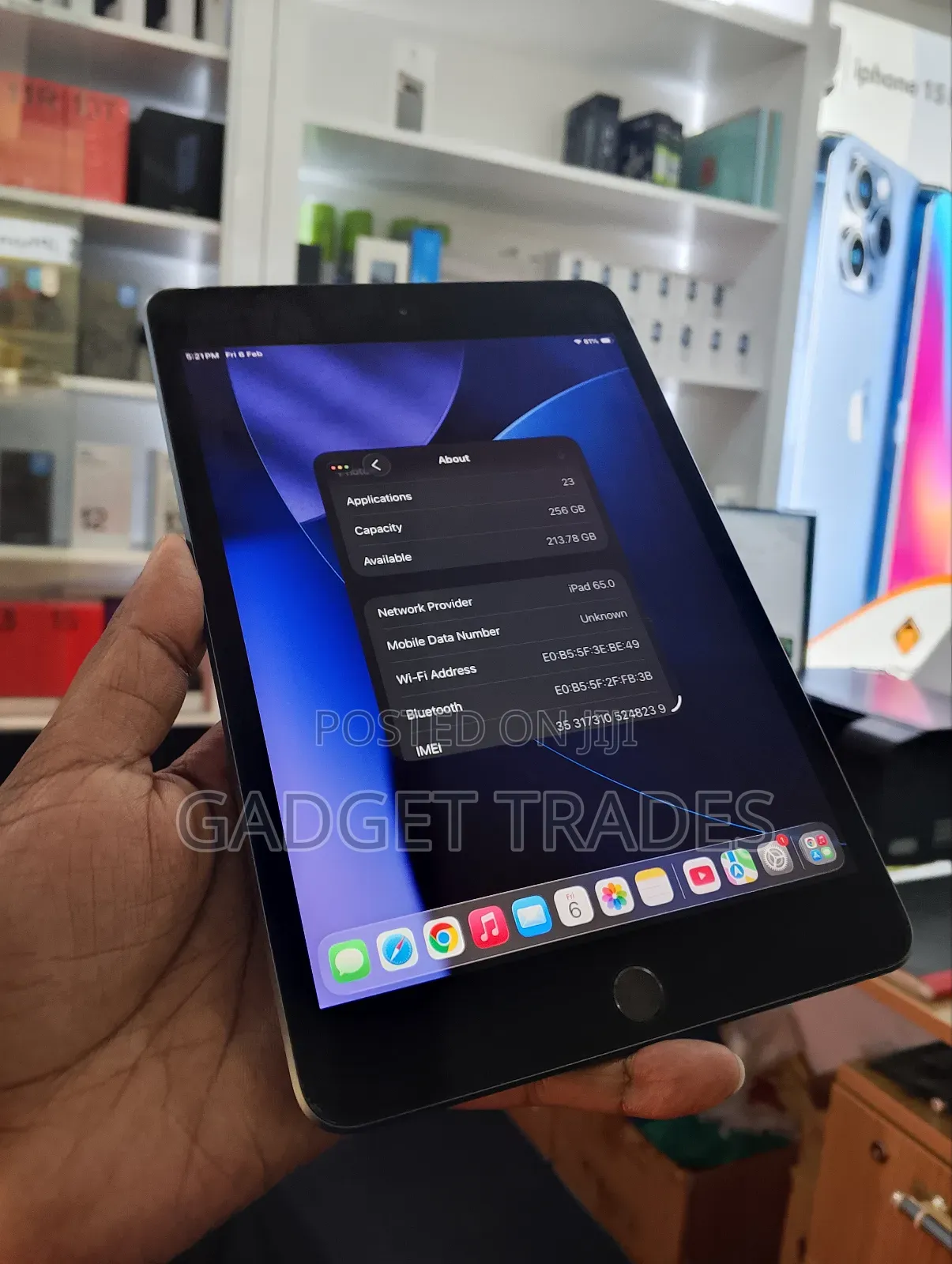 Apple iPad mini 5 256 GB Gray