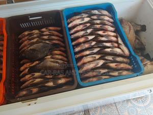 Tilapia Fish - thumbnail 2