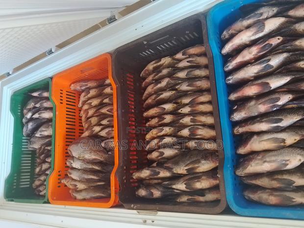 Tilapia Fish - thumbnail 3