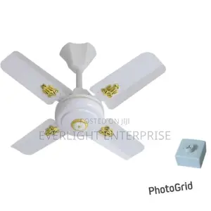Windsor Ceiling Fan