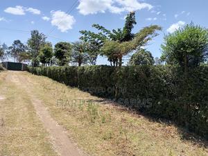 Land for Sale - Nakuru Ngata - thumbnail 2