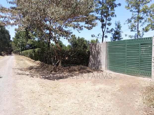 Land for Sale - Nakuru Ngata - thumbnail 3