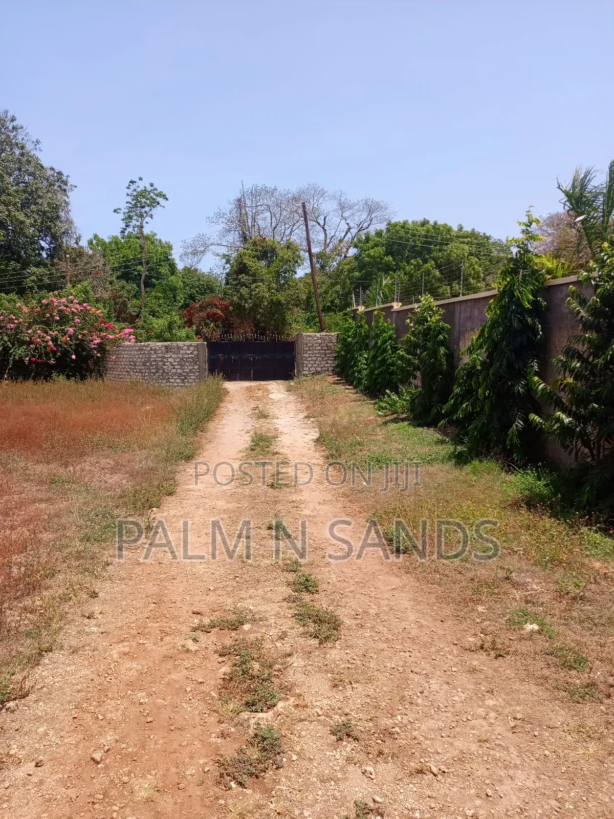 1/4 Prime Plot Near Lotfa Resort in Diani on Sale