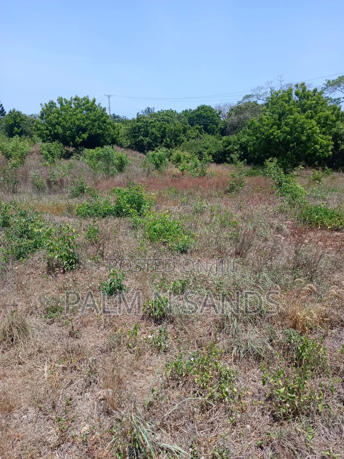 1/4 Prime Plot Near Lotfa Resort in Diani on Sale