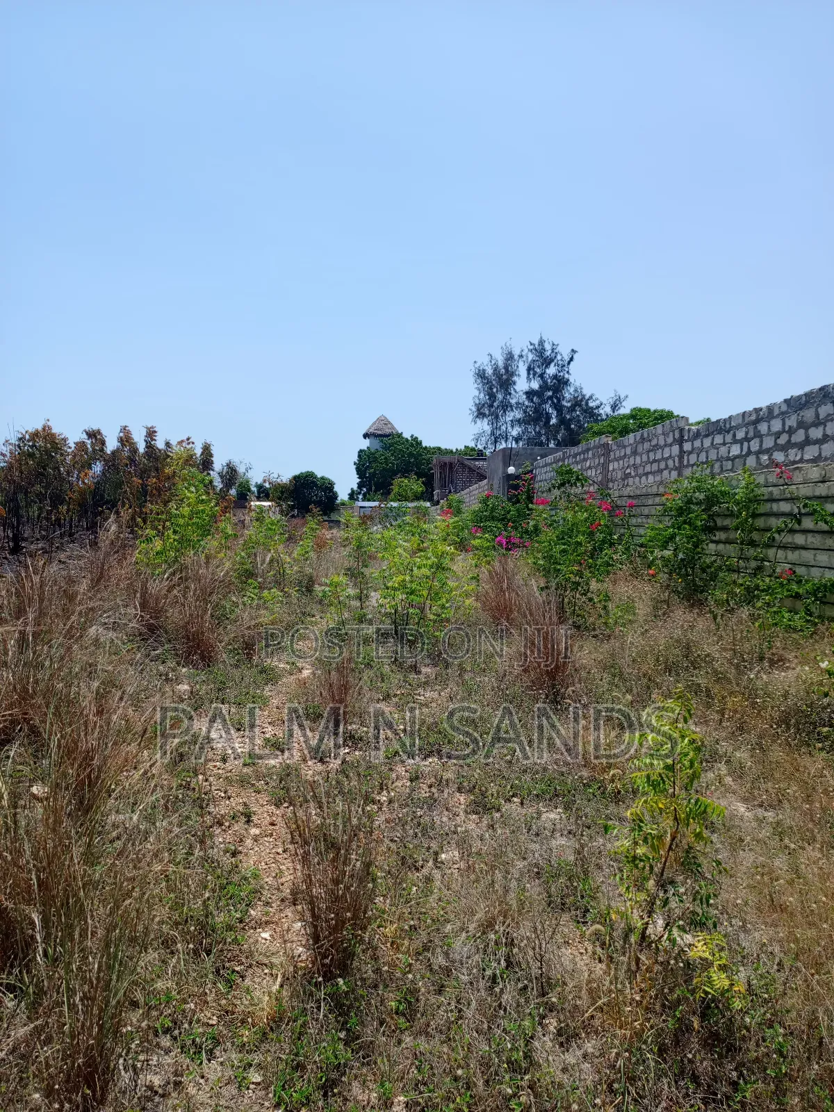 1/4 Prime Plot Near Lotfa Resort in Diani on Sale