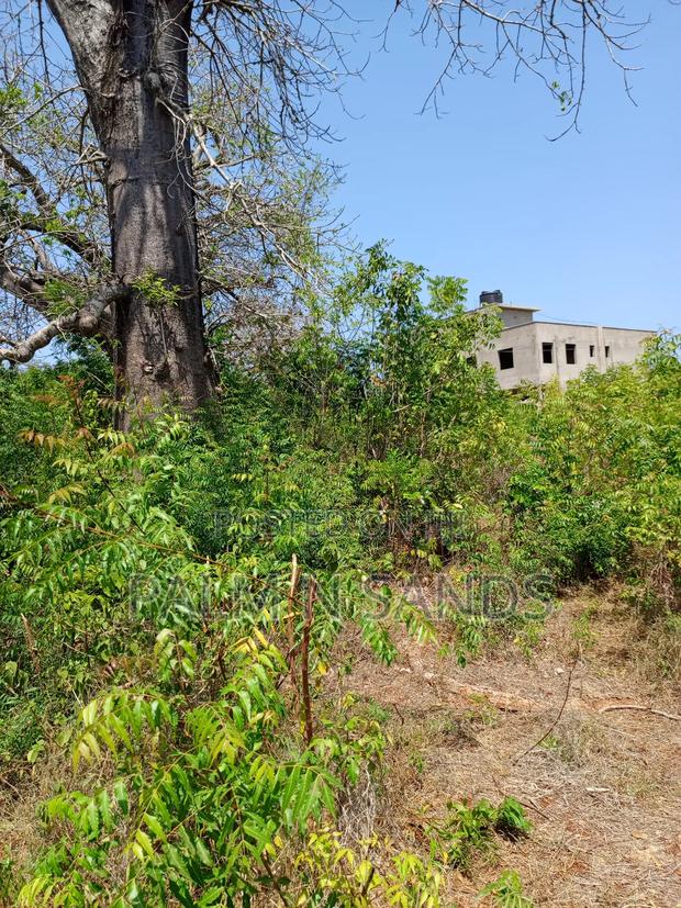 One Acre in Villa Mandhari/Manyatta Area in Diani on Sale! - thumbnail 4