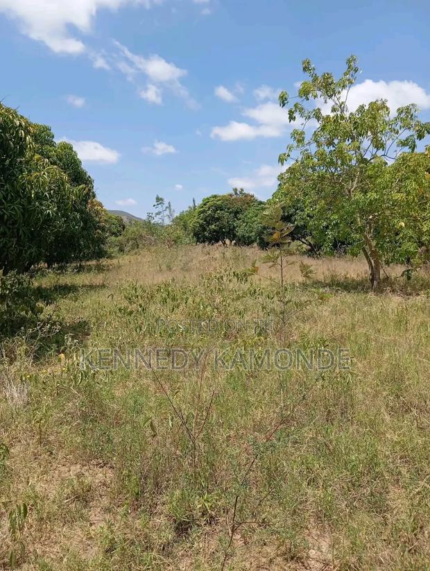 Land for Sale - thumbnail 4