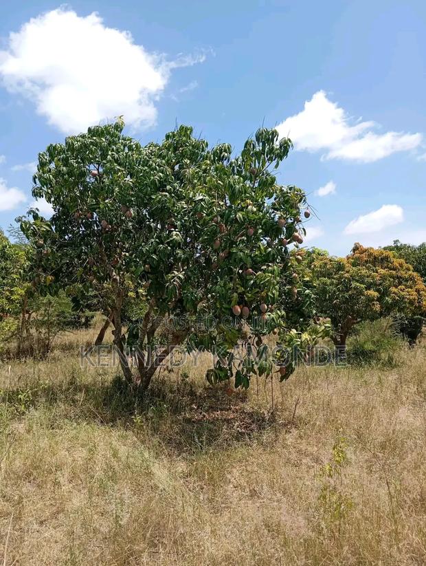 Land for Sale - thumbnail 5