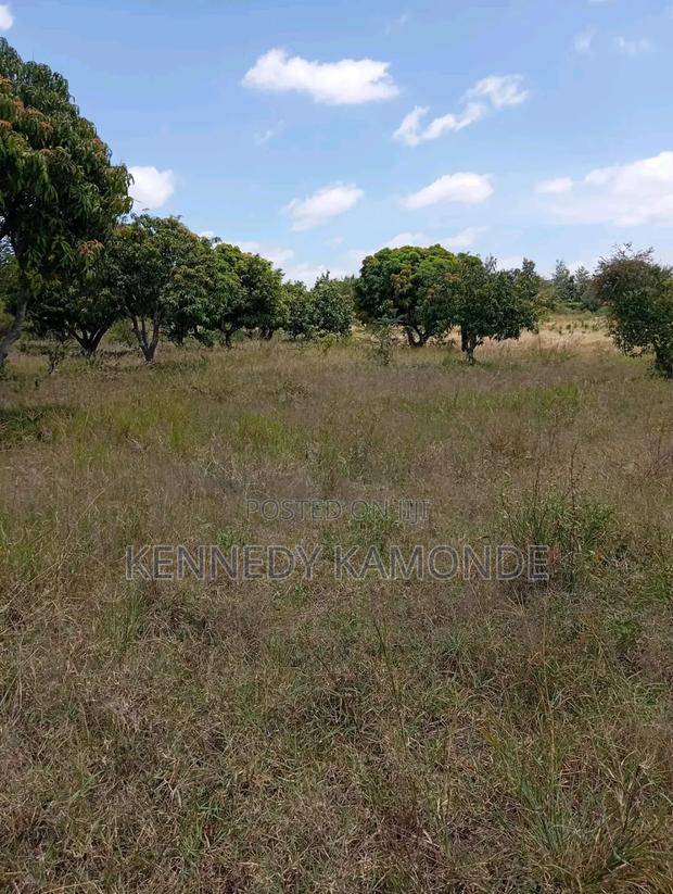 Land for Sale - thumbnail 6