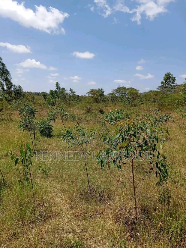 Land for Sale - thumbnail 7