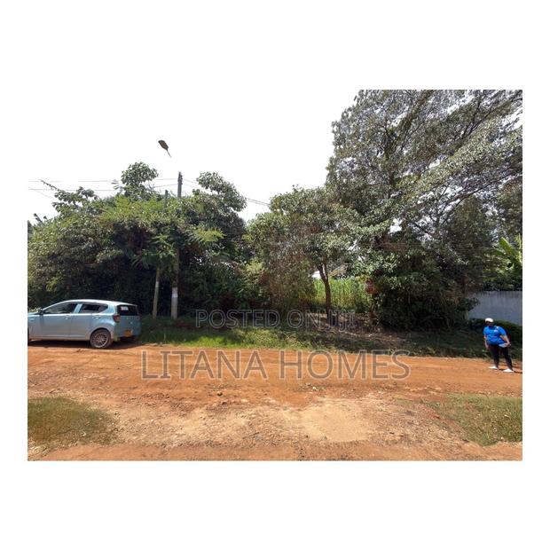Prime 1⁄2 Acre+ Property – 1st Avenue, Thome - thumbnail 2