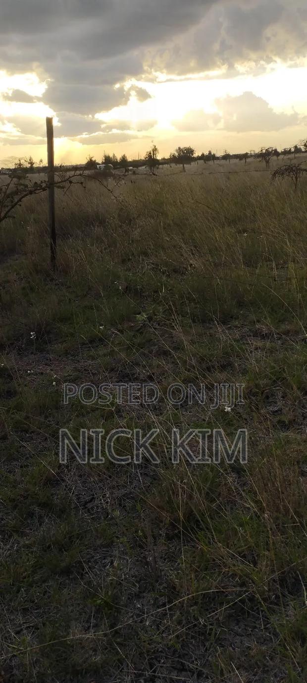 Plots at Joska 50* 100 - main view