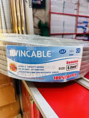 Evincable 6.0mm Twin Wiring Cable – Multi-Purpose Electrical Cable