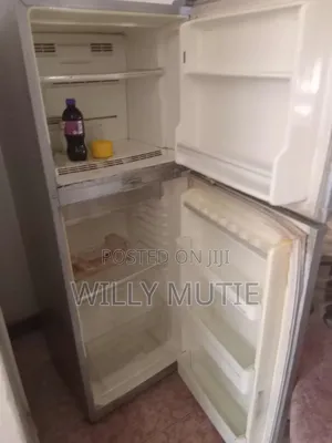 Fridge Repair (Bodywork)