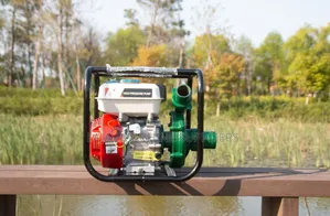 Tlac Uk Gasoline 2 Inches Water Pump