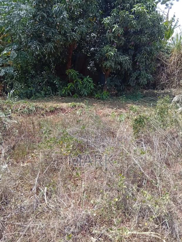 Plot for Sale - thumbnail 4