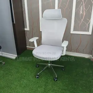 Adjustable Ergonomic Office Chair With Knob