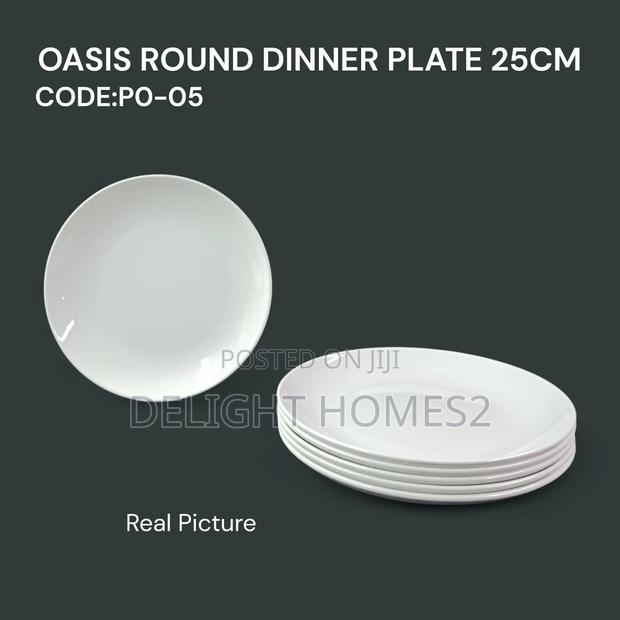 Oasis Melamine Dinner Plate_b - main view