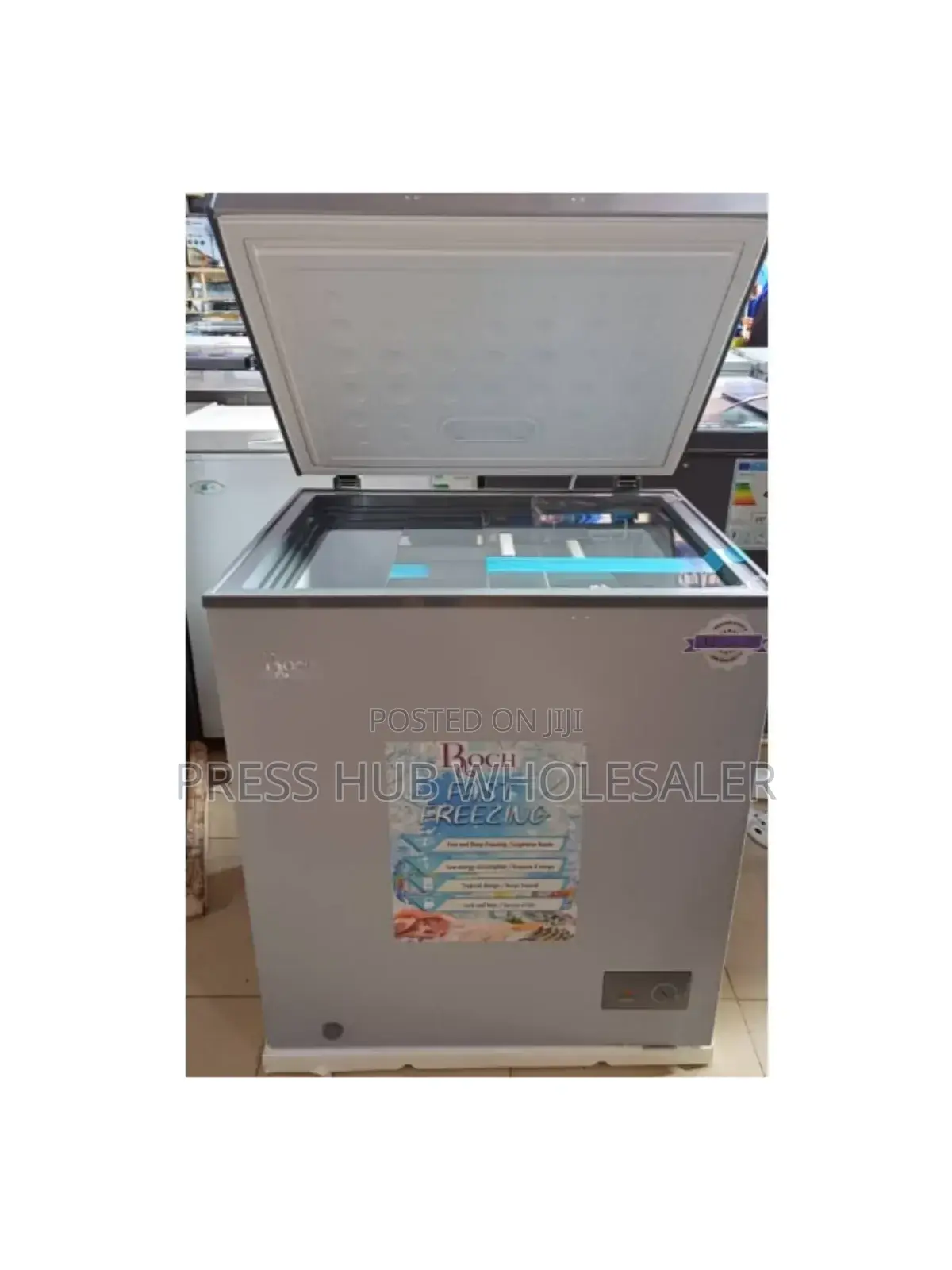Roch RCF-250-G Chest Freezer.