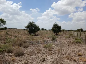 Kitengela, 2 Acres Near Ostrich Farm