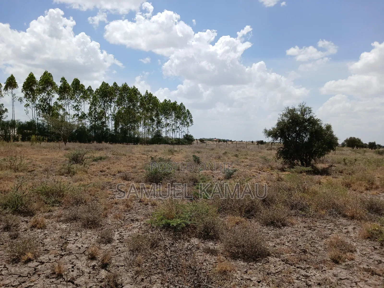 Kitengela, 2 Acres Near Ostrich Farm