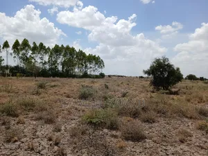 Kitengela, 2 Acres Near Ostrich Farm
