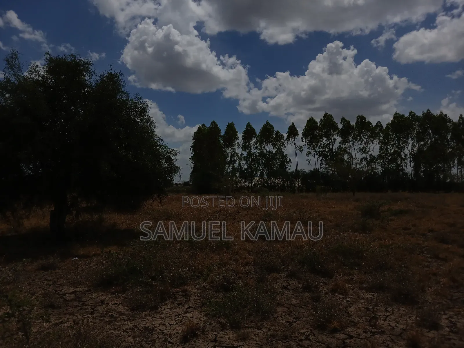 Kitengela, 2 Acres Near Ostrich Farm