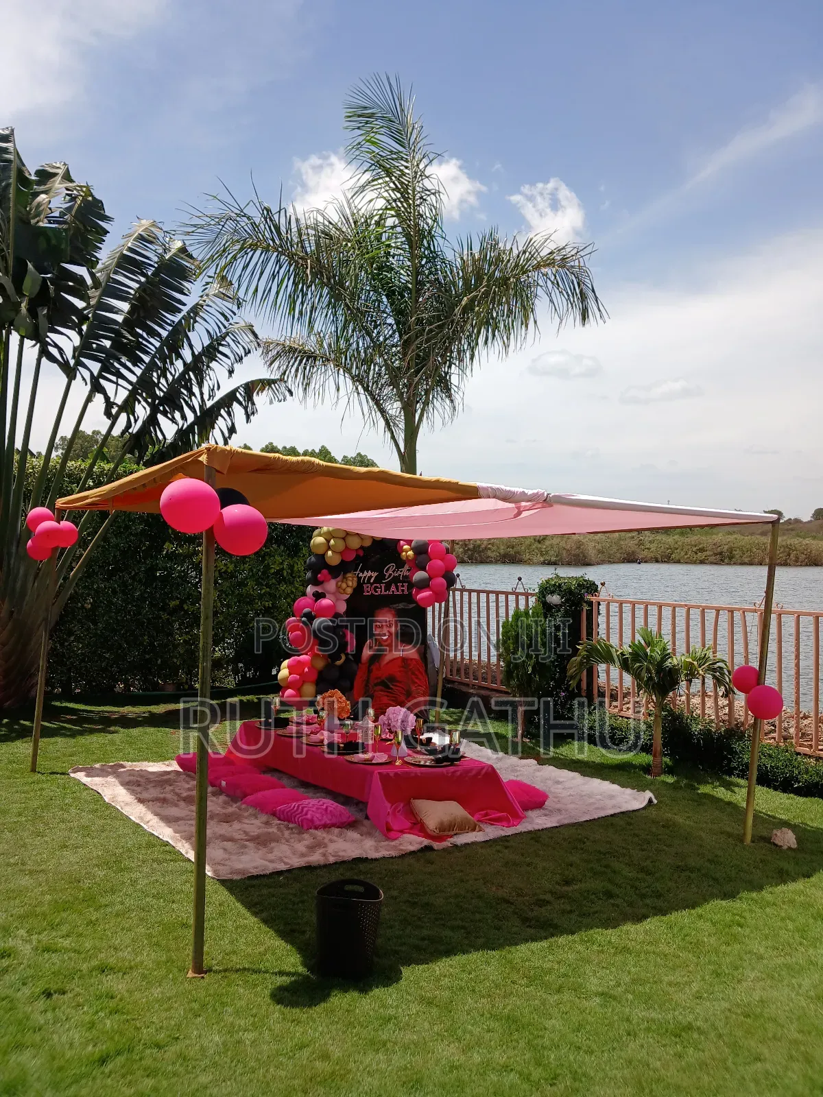 Picnic Set Up