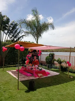 Picnic Set Up
