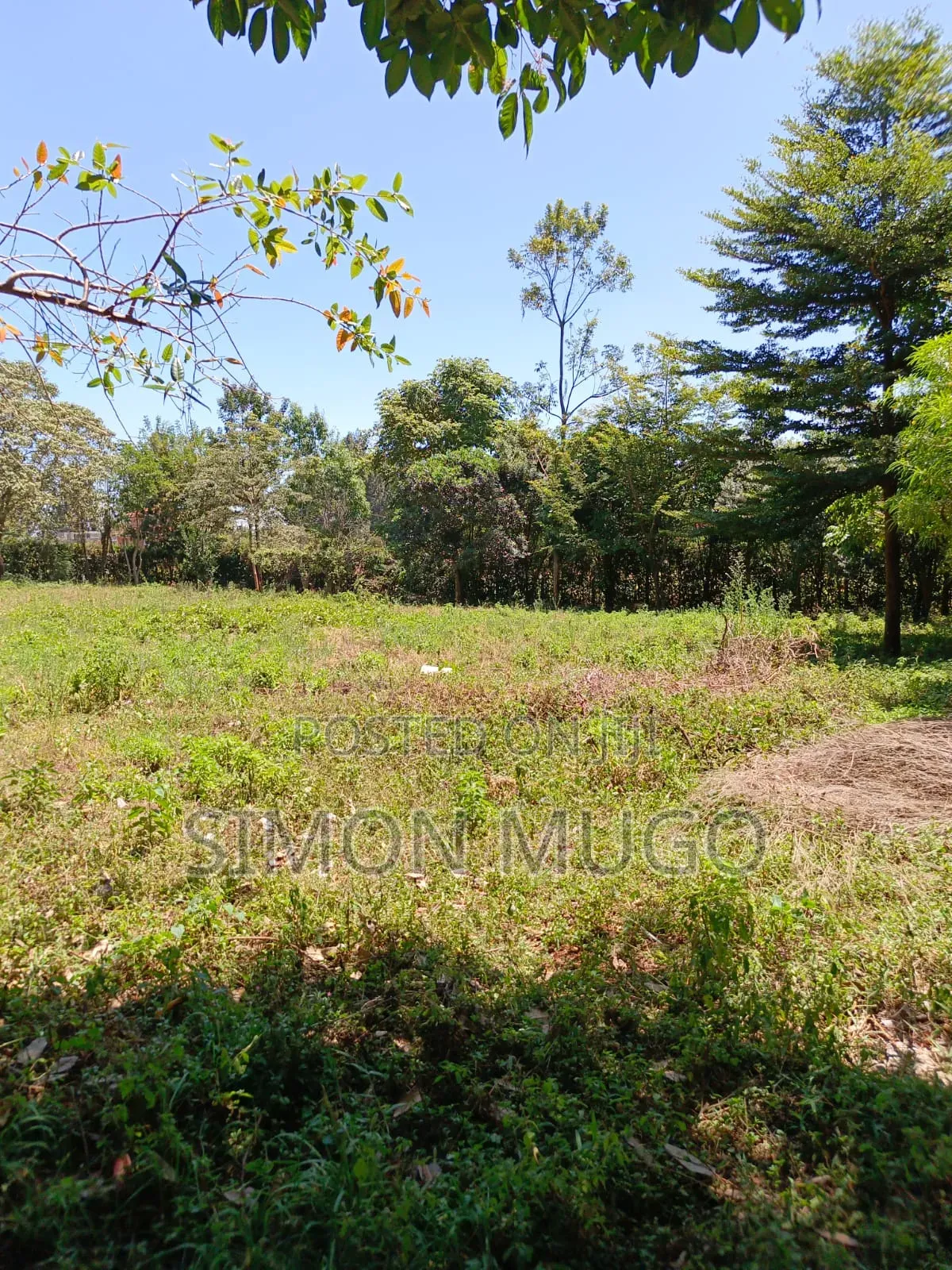 Karen Fair Acres Prime 1.25 Acres