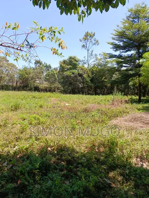 Karen Fair Acres Prime 1.25 Acres