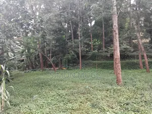 Karen Fair Acres Prime 1.25 Acres