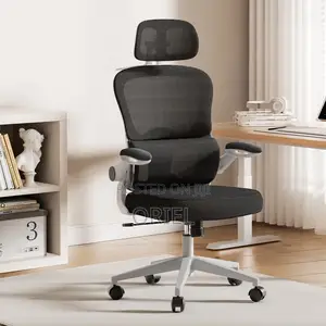Office Chair : Jantens Ergonomic High Back Chair